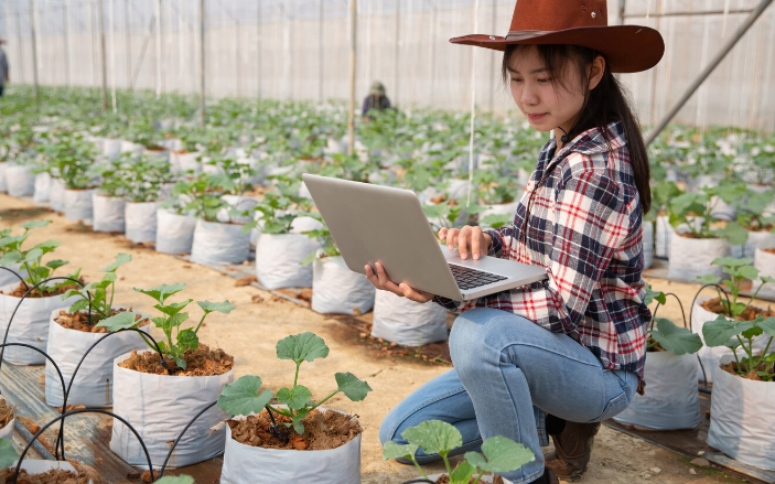 什么是智能农业-物联网在农业中的影响、应用和优势